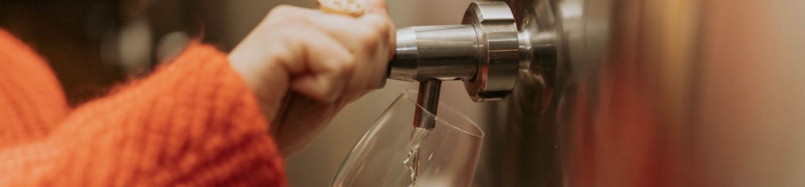 Passage de la fleur de vigne au grain de raisin